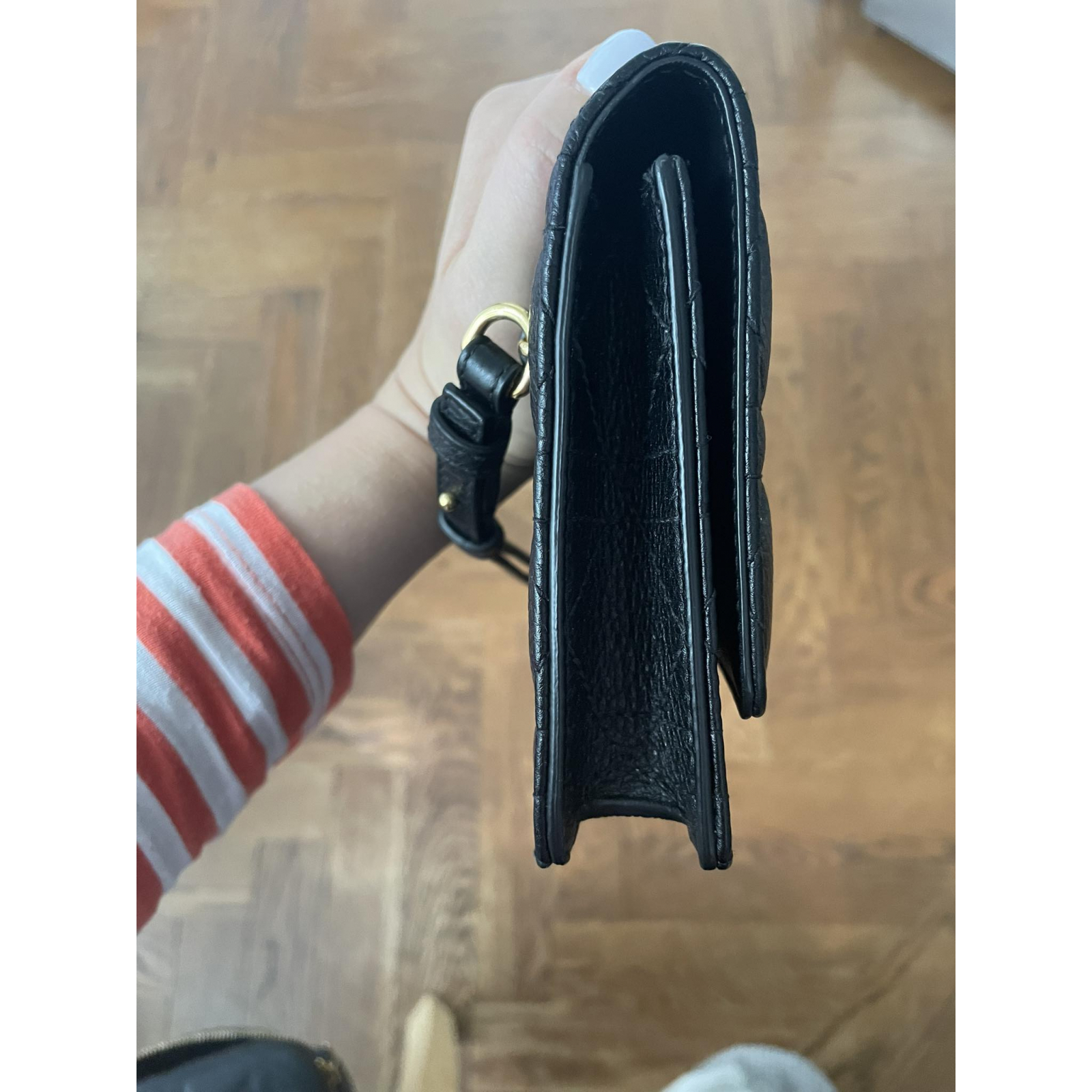 Dior Caro Pouch