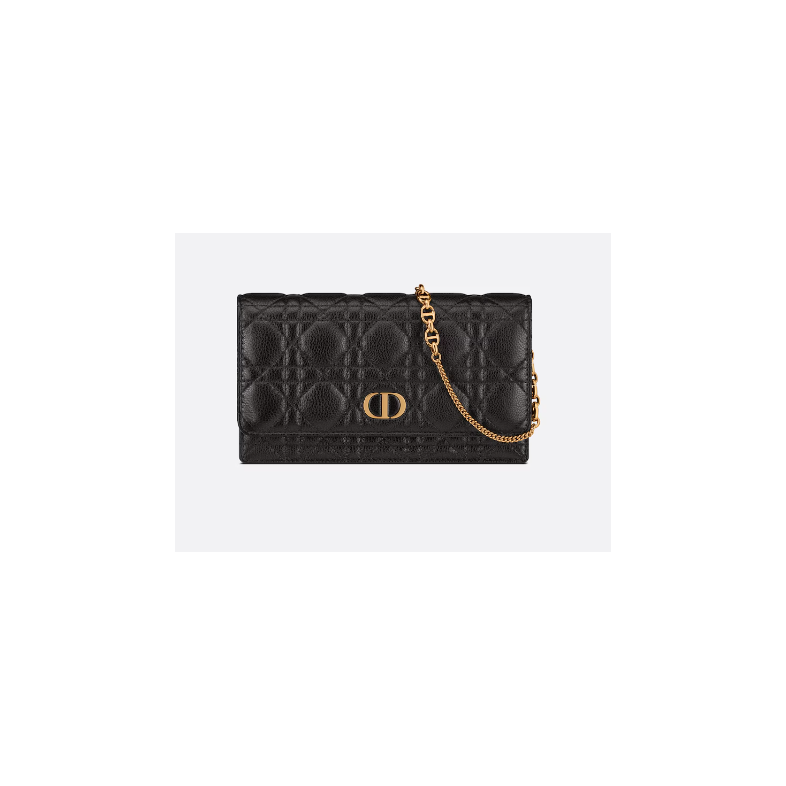 Dior Caro Pouch