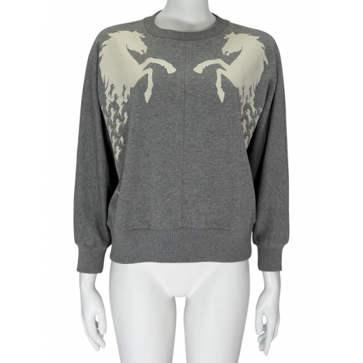 Bluza